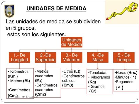 Las Unidades De Medida