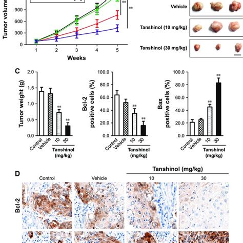 Tanshinol Inhibits The Growth Of Hepg2 Cell In A Xenograft Model