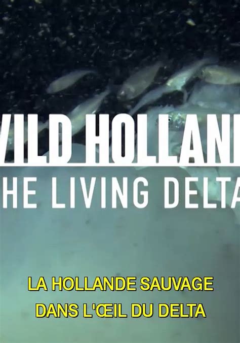 Regarder la série La Hollande sauvage streaming