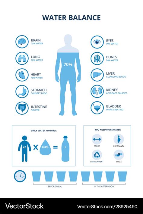 Water Balance In Human Body