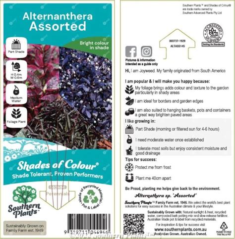 Alternanthera Assorted 140MM - Southern Plants