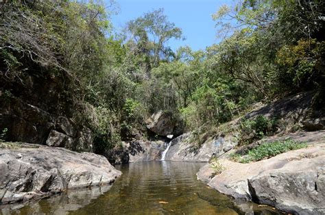 Folha Do Iguass Nova Igua U Promove Trilha Guiada No Parque Municipal