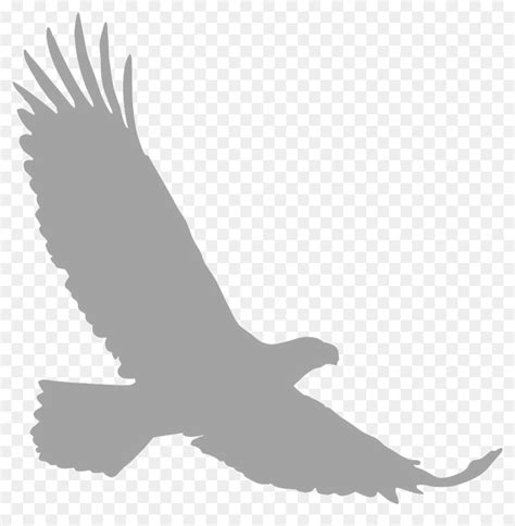 Free Soaring Eagle Silhouette, Download Free Soaring Eagle Silhouette ...