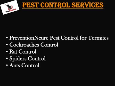 Ppt Diy Pest Control Vs Professional Pest Control Services