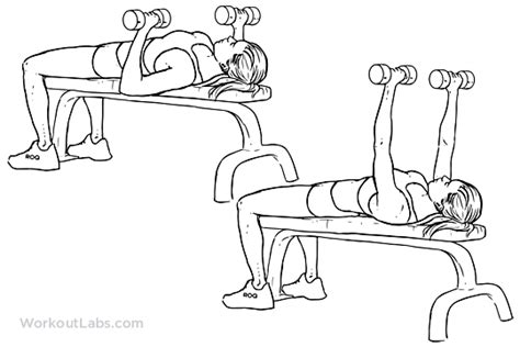 Dumbbell Flat Bench Press Illustrated Exercise Guide Workoutlabs