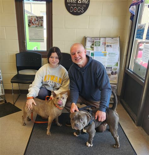 Gloucester County Animal Shelter | Clayton NJ