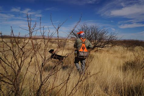 2022-2023 Arizona Quail Season - Dave Brown Outfitters - Fly-Fishing