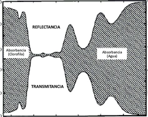 Espectro De Reflectancia Transmitancia Y Absorbancia De Las