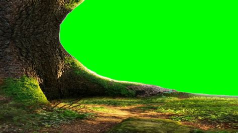 Green Screen Tree App Editor Tutorial Youtube