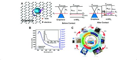 A Schematic Of Dispersed Ws Qd On The Graphene Layer The Energy