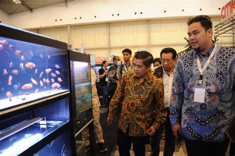 Program Ekonomi Biru Pacu Ri Jadi Eksportir Ikan Hias Terbesar Di Dunia