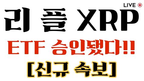 리플 XRP 반에크 ETF 승인 긴급속보 지금빨리보셔야합니다 리플 리플코인 리플목표가 YouTube