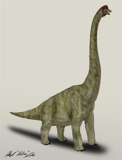 Jurassic Park Brachiosaurus Drawing