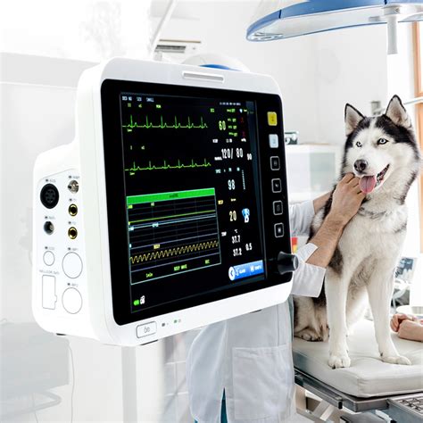 Soymed Inch Portable Vet Multi Parameter Patient Monitor