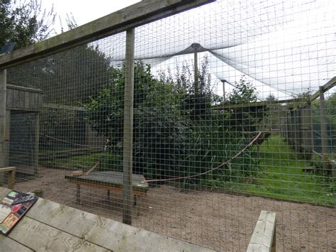 Brown Lemur Enclosure Zoochat