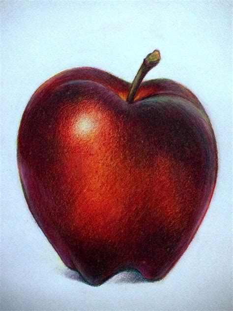 Lauren Yurkovich Color Pencil Art Still Life Drawing Color Pencil Drawing