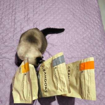 Корм для кошек Grandorf 2кг для стерилизованных индейка купить по цене ...