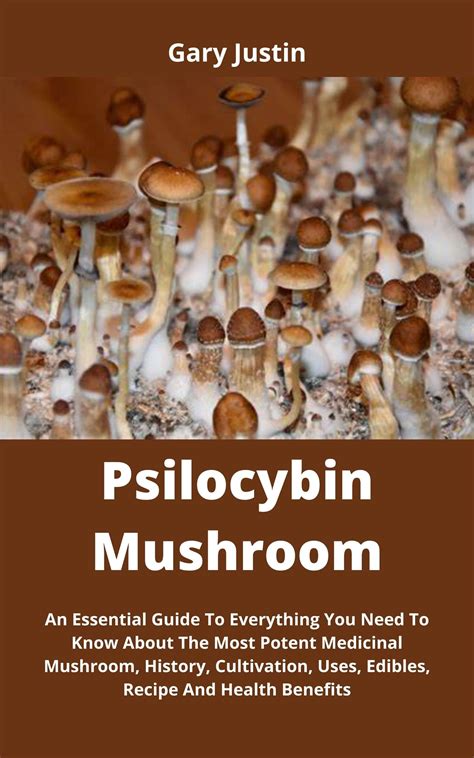 Buy Psilocybin Mushroom: An Essential Guide To Everything You Need To