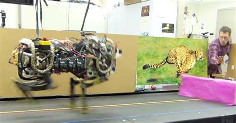 Mits Robotic Cheetah Can Autonomously Leap Over Obstacles Time