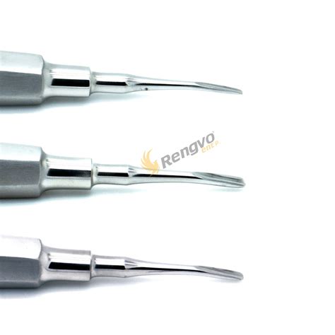 Dental Elevator Surgical Root Instruments Curved Tip Mm Mm Mm New