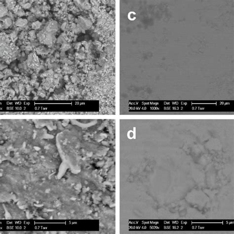 SEM Images Of Ti 0 5 Zr 0 5 NiSn 1 Pre SPS A B And Post SPS C