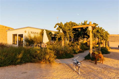 Why Wines From Israel's Negev Desert May Represent the Future of ...