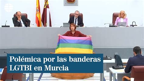 Podemos Esta Es La Bandera De La Inclusi N Compatible Con Todas Las