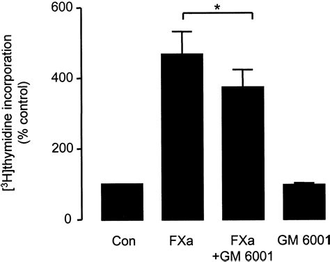 Factor Xa Releases Matrix Metalloproteinase 2 MMP 2 From Human