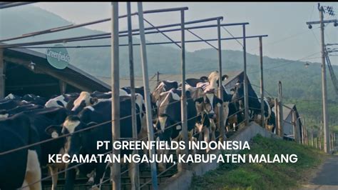 Pt Greenfields Indonesia Kecamatan Ngajum Kabupaten Malang Youtube