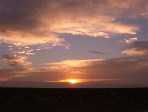 Free Photo Sunrise On A Cloudy Morning Bspo06 Cloudy Groves Free