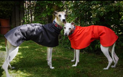 Gallery - The Whippet Coats