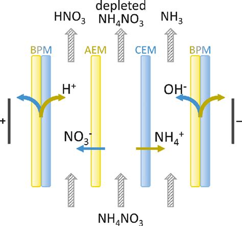 Schematic Of Ammonium Nitrate Dissociation With Bmed Adapted From Ref