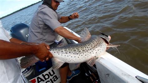 Pesca de surubí en Esquina Corrientes Argentina YouTube