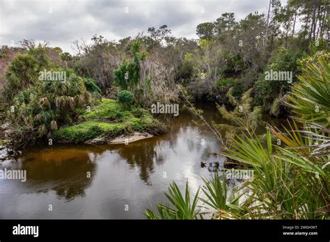Turkey Creek Sanctuary Stock Photo Alamy