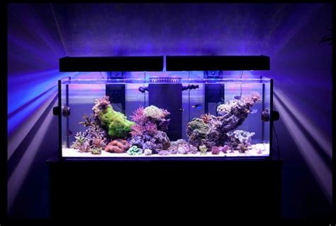 Reef Aquariums For Your Inspiration