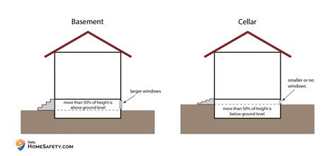 cellar  basement  comparison guide dailyhomesafety