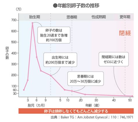 学校では教えてくれない妊娠適齢期のこと│【医師監修】ジネコ不妊治療情報