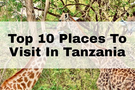 Top Places To Visit In Tanzania Uwanda Tours And Safaris