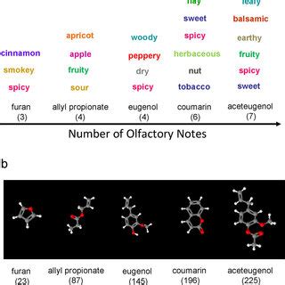 Molecular Complexity Of Odorants Influences The Number Of Olfactory