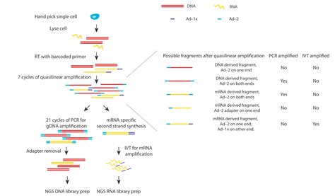 Single cell epigenomics