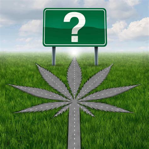 Think You Can Drive High? Here's What THC Does to Your Driving Skills