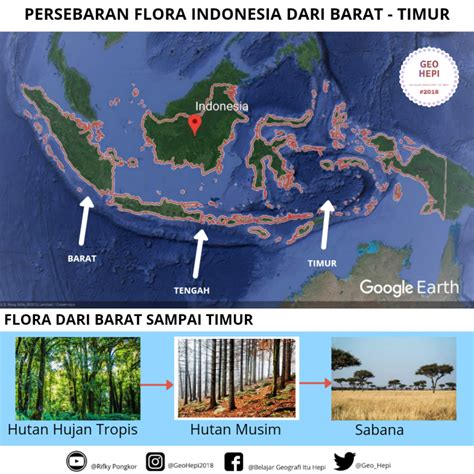 Persebaran Flora Dan Fauna Indonesia Geohepi