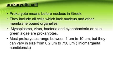 Prokaryotic Cell Ppt Ppt Free Download