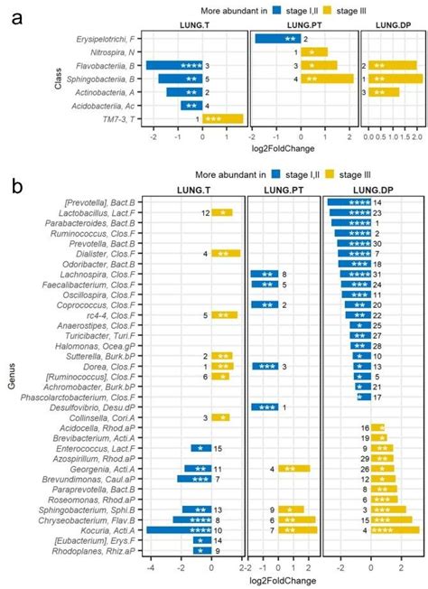 Differential Abundance Of Lung Tissue Microbiota Between Stage Groups