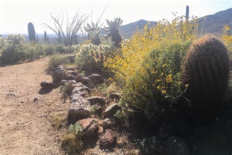 Pass Mountain Trail - Arizona | AllTrails