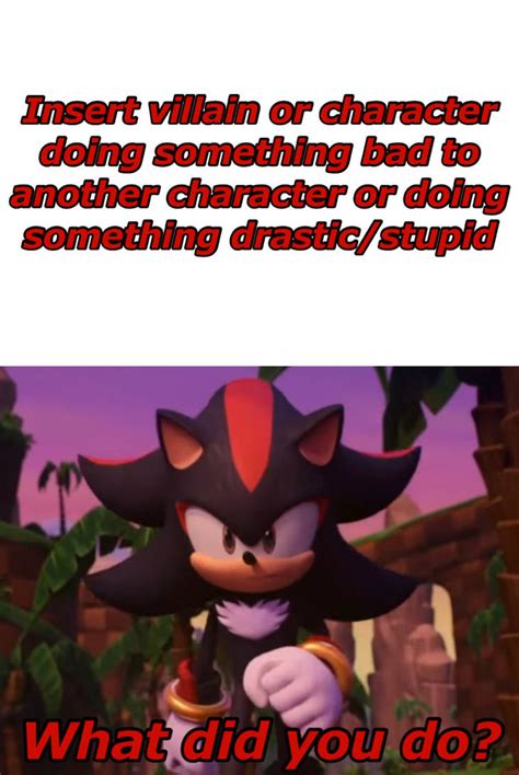 Shadow The Hedgehog What Did You Do Meme? by adamhatson on DeviantArt