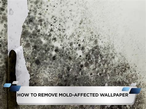 How To Remove Mold-Affected Wallpaper