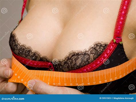 Woman Measuring Her Bust Size Stock Image Image Of Hands Round 5951503