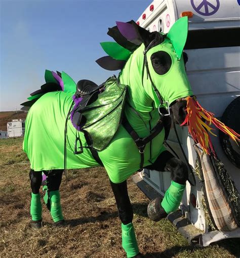 Pin By Renee Gray On Horse And Dog Costumes Dog Costumes Horses And