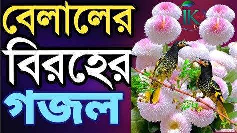 সেরা মন প্রাণ কলিজা শীতল করা কুকিল সুরে খুব সুন্দর একটি বিরহের গজল